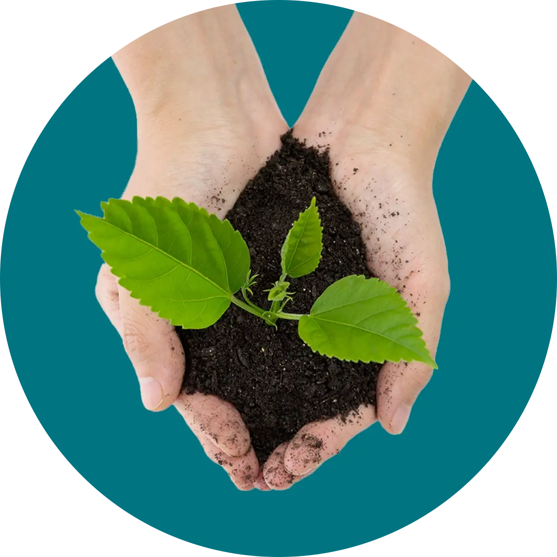 Ready to energize your future?