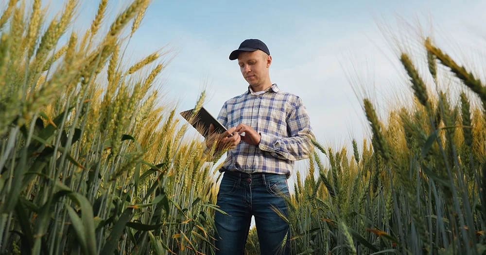 Generative AI for Content Creation: Valmont’s Digital Strategy Innovation